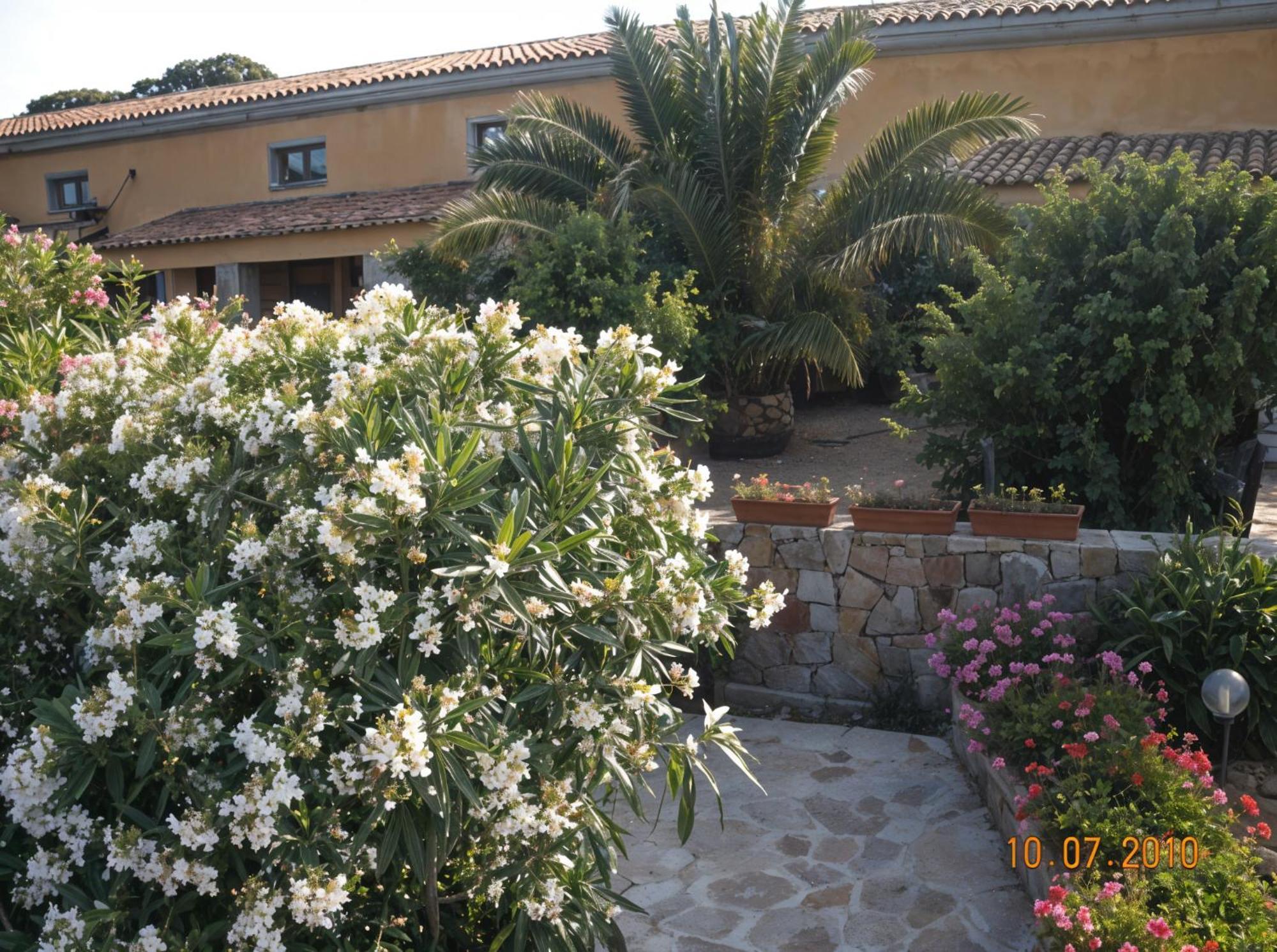 Agriturismo Lu Colbu Trinità dʼAgultu Exteriér fotografie